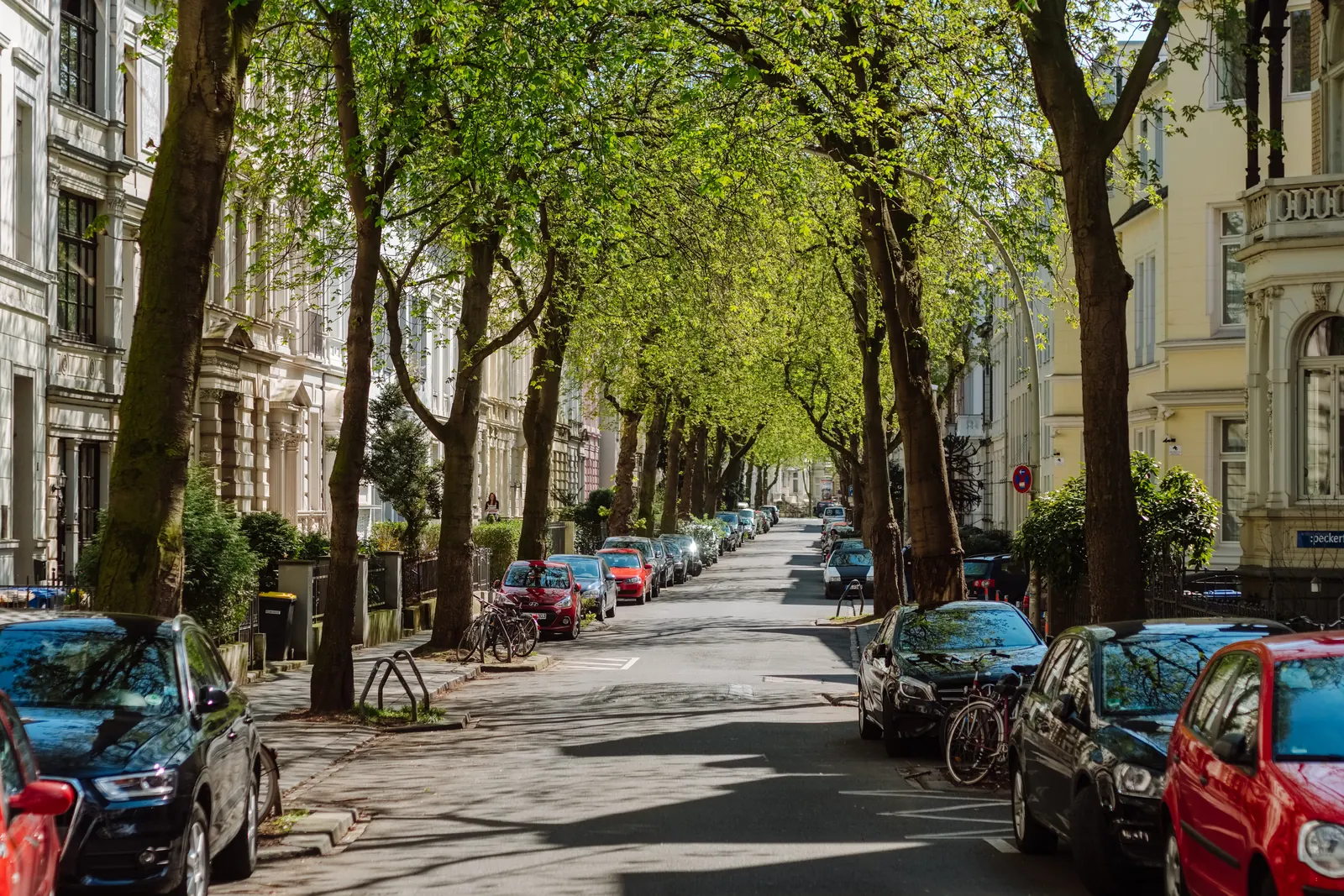 Cars and bicycles on a tree-lined street